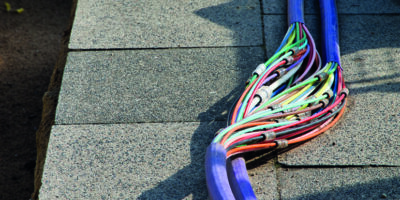 ISO Survey 2024 – Dakks verweigert Datentransfer!